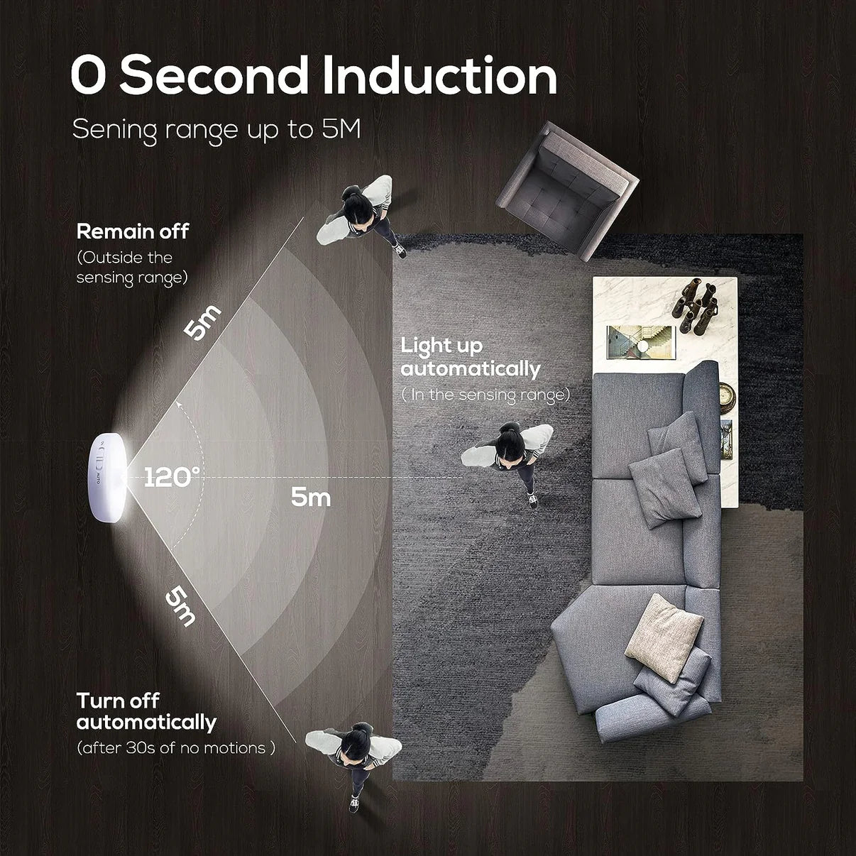 BEHIVE® Motion Sensor Lights